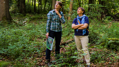 Karina Jungmann vom LIFE+ Projektteam informiert die Bonner Bundestagsabgeordnete Claudia Lücking-Michel über die Bedeutung alter Eichen für die biologische Vielfalt.