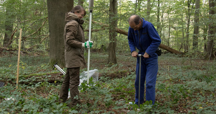 Karina Jungmann (Biologische Station Bonn/Rhein-Erft) und Dr. Thomas von Oepen (UP GmbH) installieren einen Messpunkt zu Bodenfeuchtemessung.